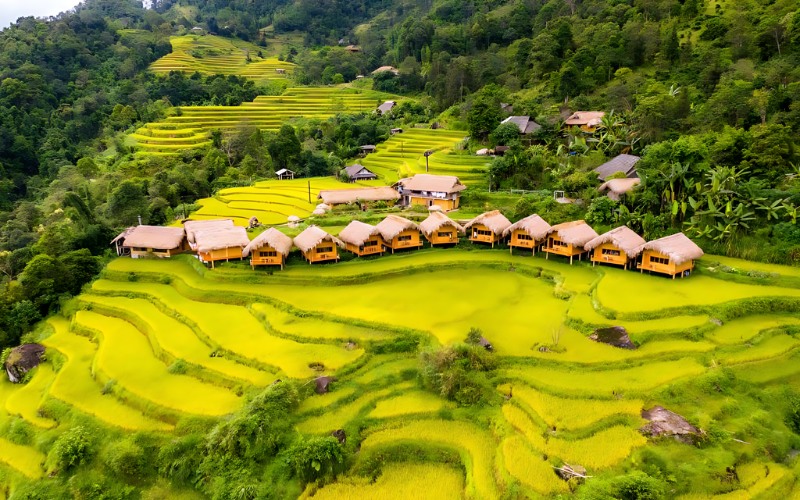 Hoang Su Phi Lodge