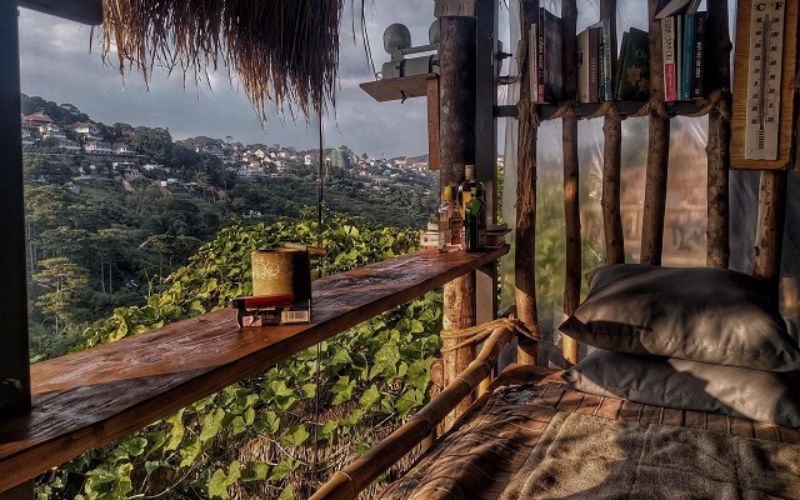 Cú Trên Cây Homestay