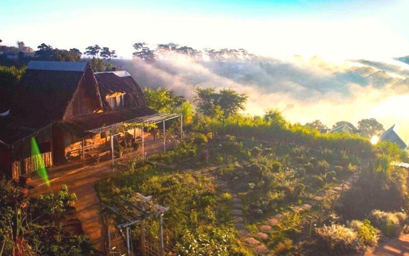homestay săn mây đà lạt​
