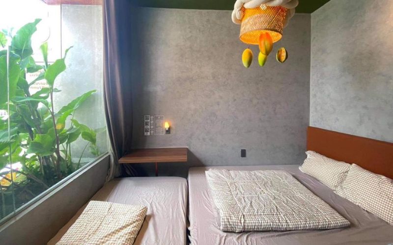 5 homestay vũng tàu
