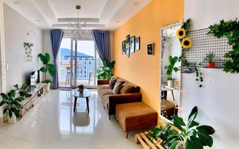 Bò Homestay Vũng Tàu