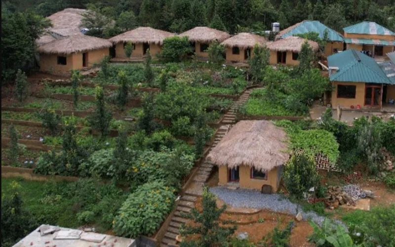 homestay y tý