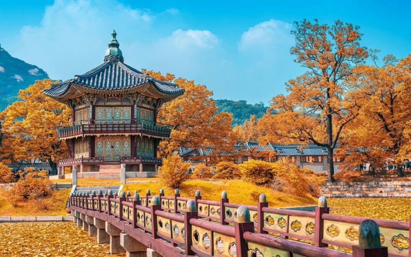 du lịch hàn quốc tháng 10​