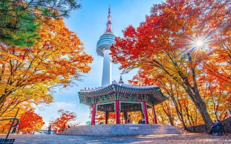 Kinh nghiệm du lịch Hàn Quốc