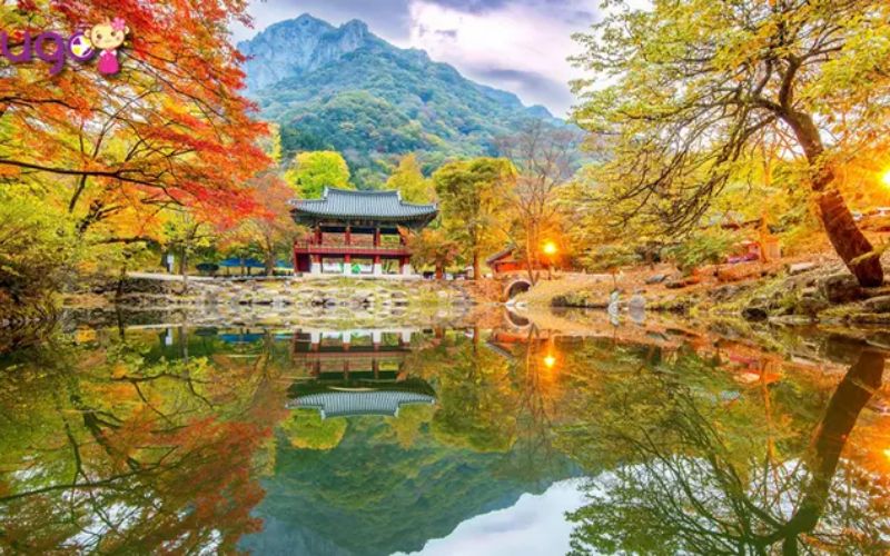Vì sao nên du lịch Hàn Quốc tháng 10