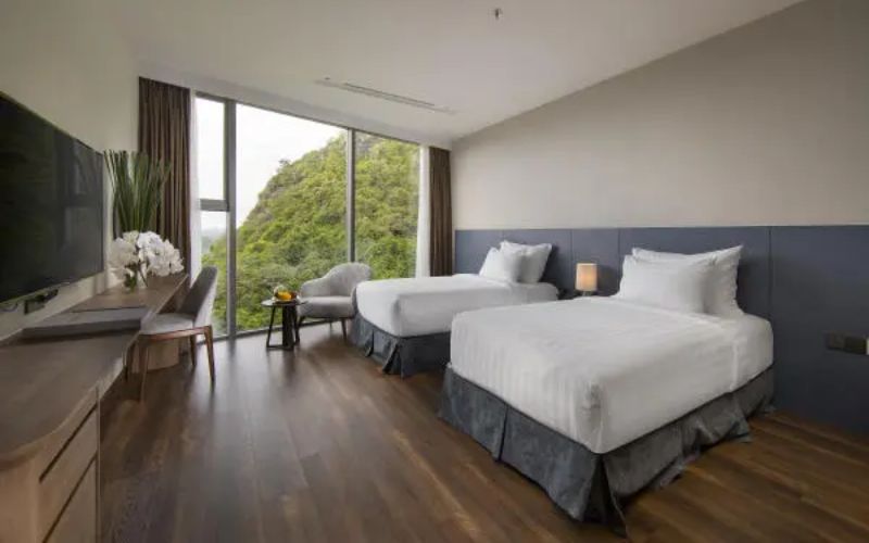 So sánh các loại hình lưu trú tại Cát Bà