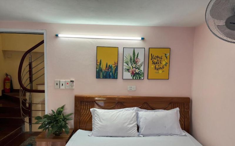 Sweet Potato Cát Bà